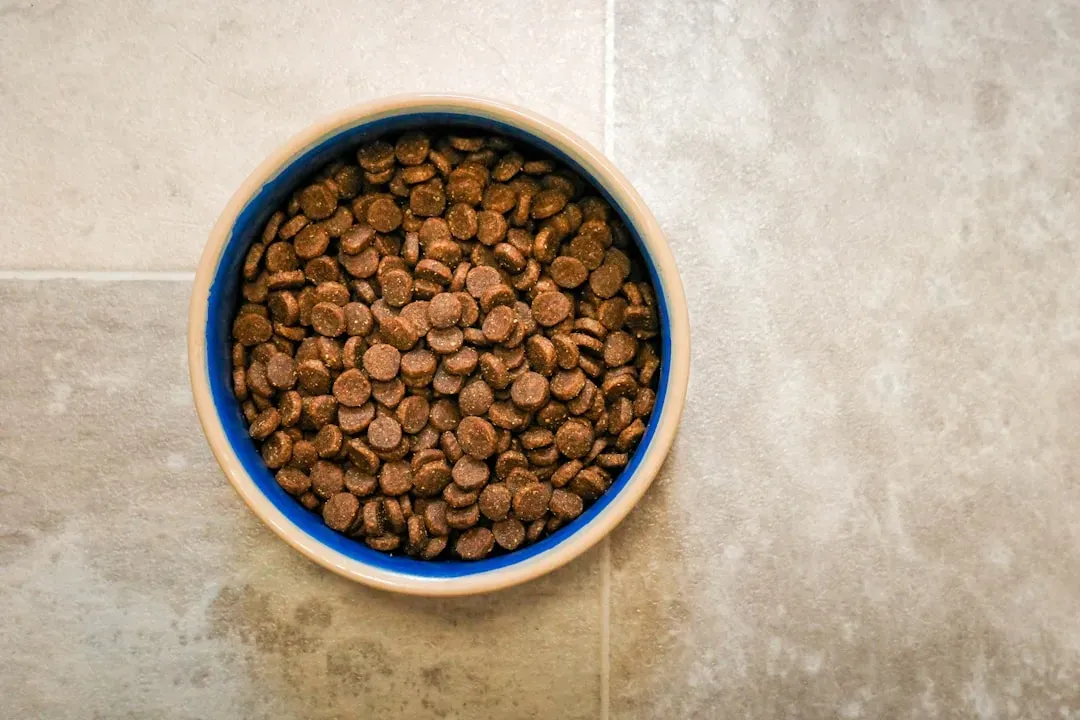 Pet Food: An Unexpected Protein Magnet (Image Credits: Unsplash)
