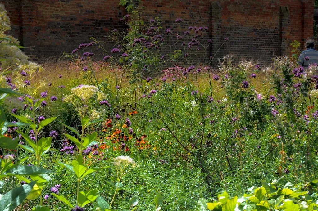 1. Swap Perfect Lawns for Wild Corners (The Boy from Bare, Flickr, CC BY 2.0)