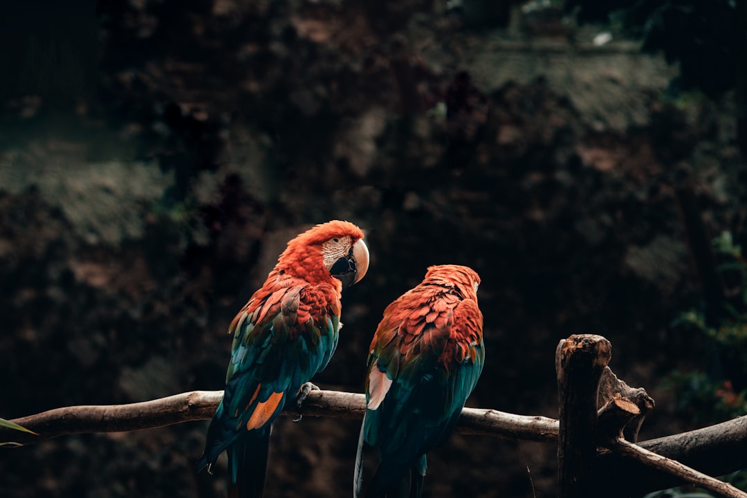 Conclusion (Image Credits: Unsplash)