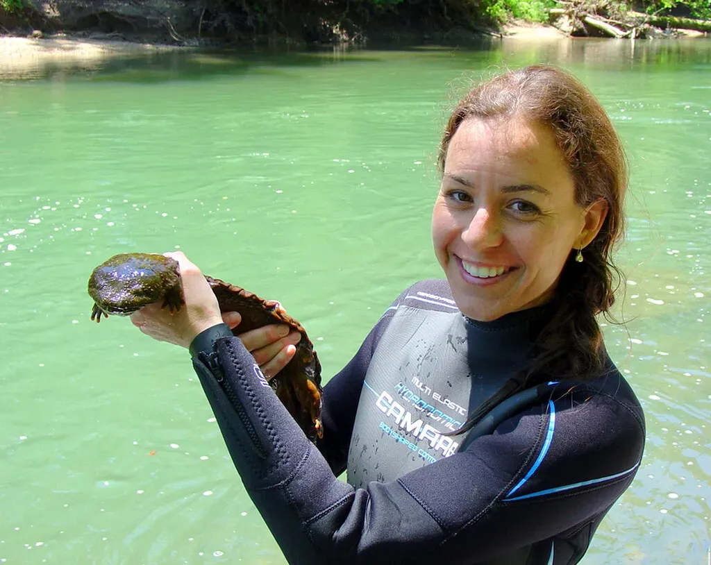 Hellbenders Breathe Through Their Wrinkly Skin (Image Credits: Flickr)
