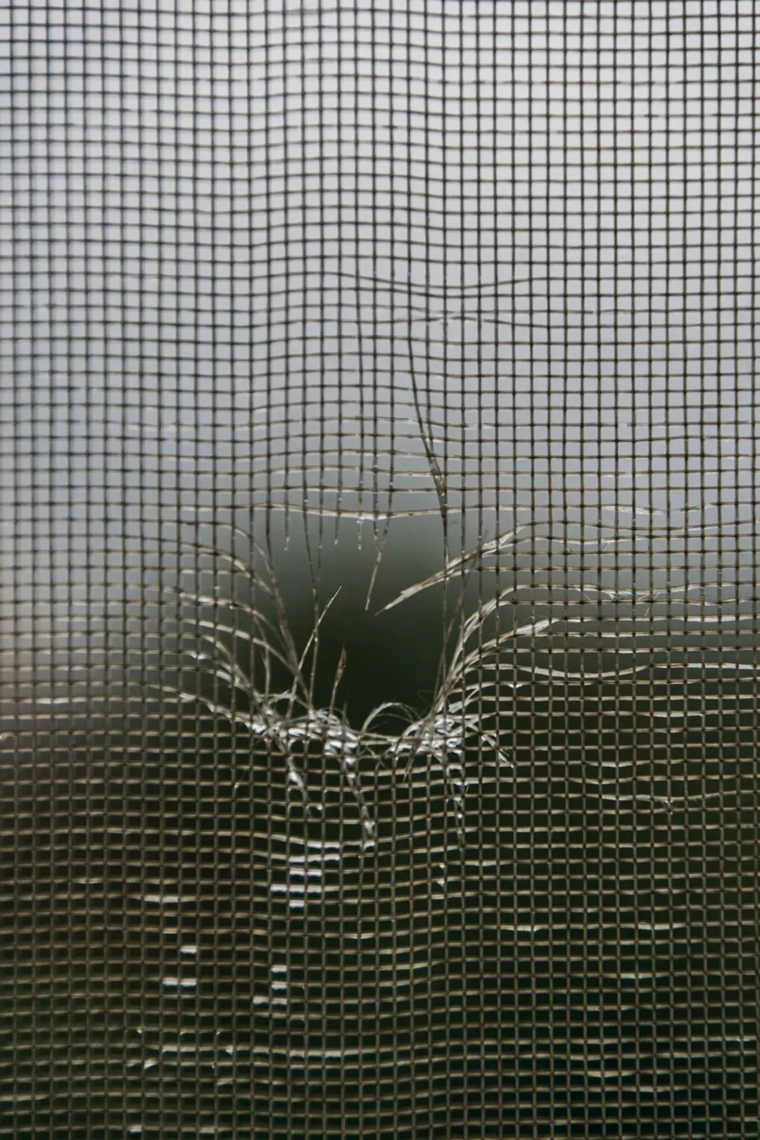 2. Install and Repair Window Screens (Image Credits: Unsplash)
