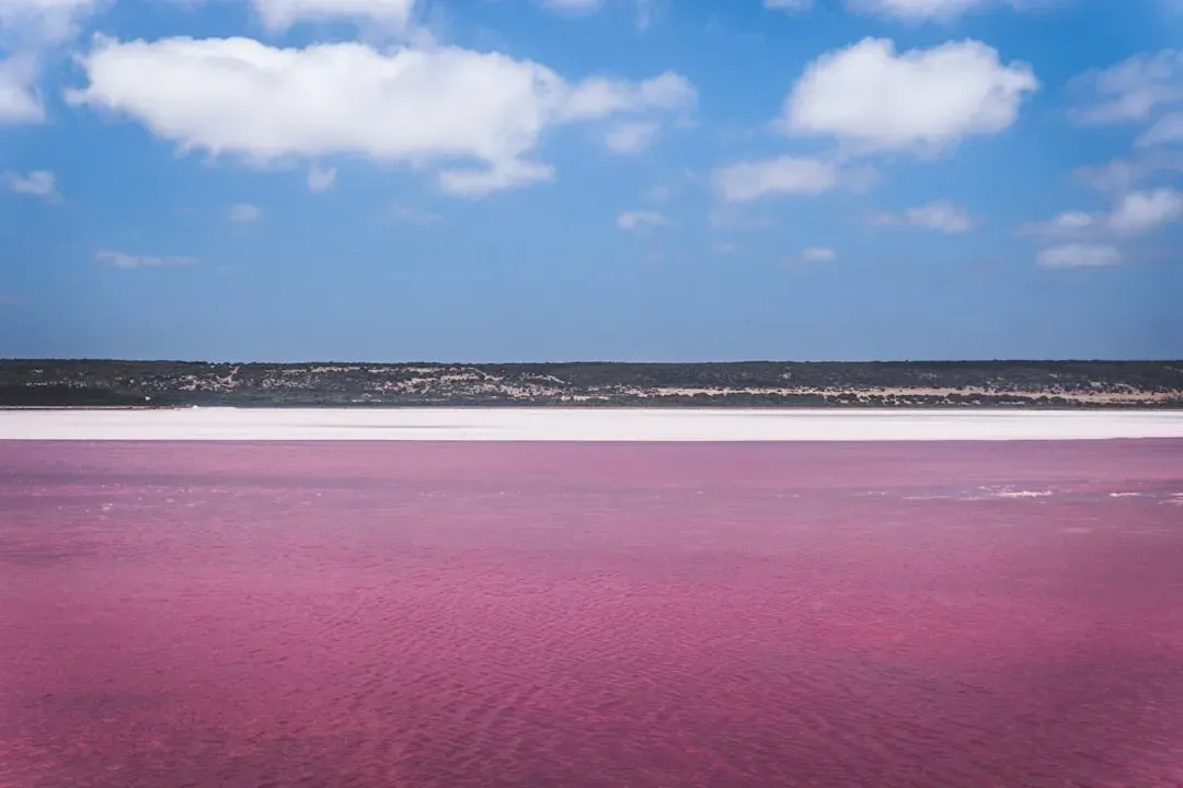 Lake Hillier, Australia: Bubblegum Pink and Completely Real (Image Credits: Unsplash)