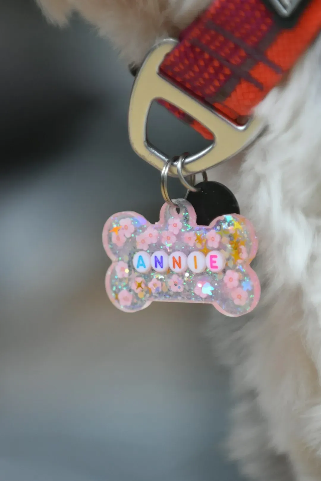 #34. You Keep Your Dog's ID Tags Current (Image Credits: Unsplash)