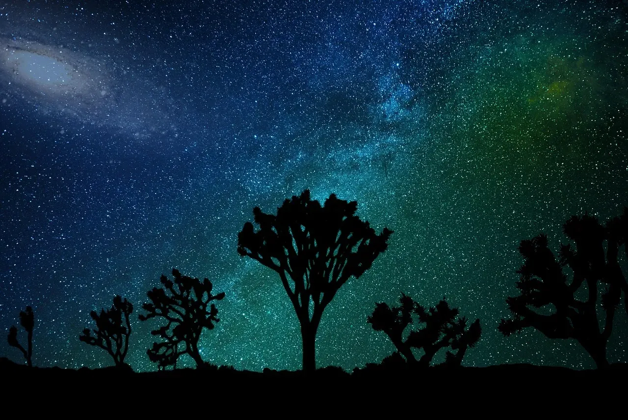 Joshua Tree National Park, California (Image Credits: Pixabay)