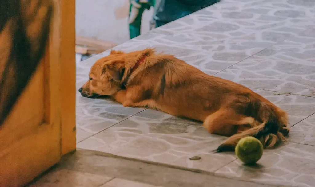 #13 - Seeking Out the Strangest Resting Spots (Image Credits: Rawpixel)
