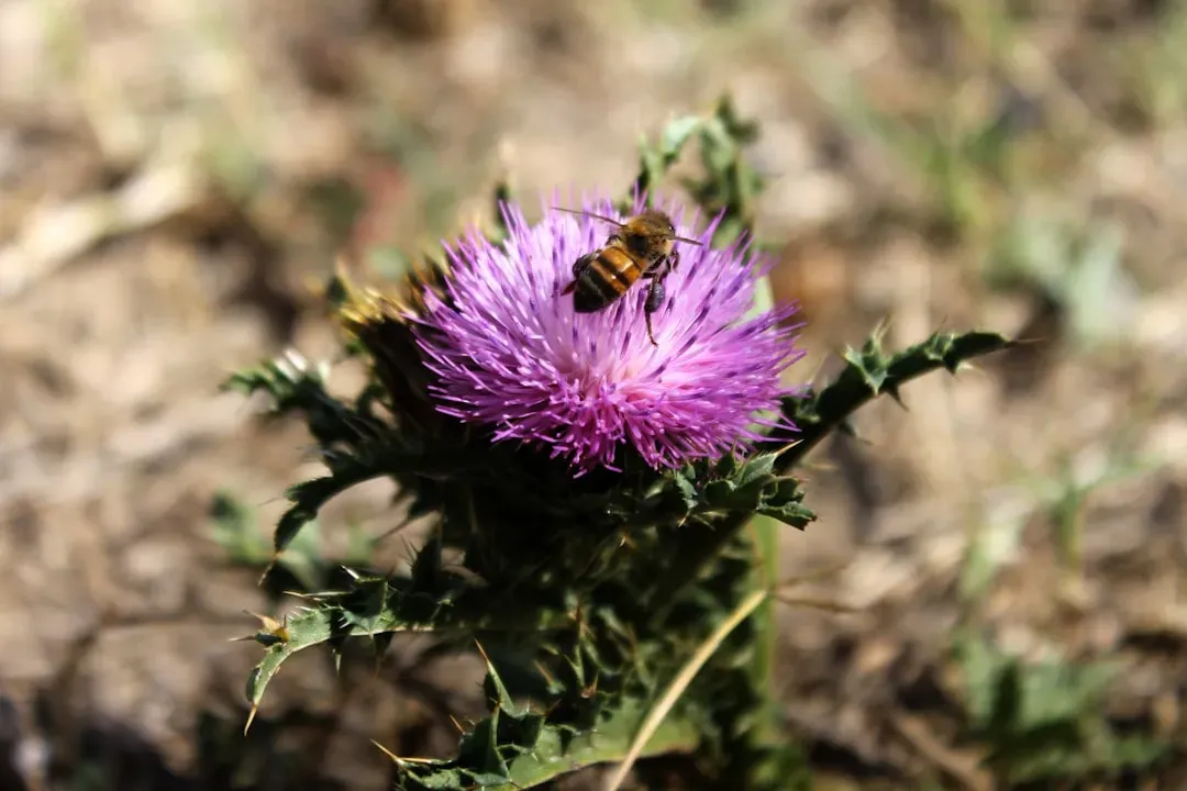 Bees and the Global Food Supply: A Connection You Cannot Ignore (Image Credits: Unsplash)
