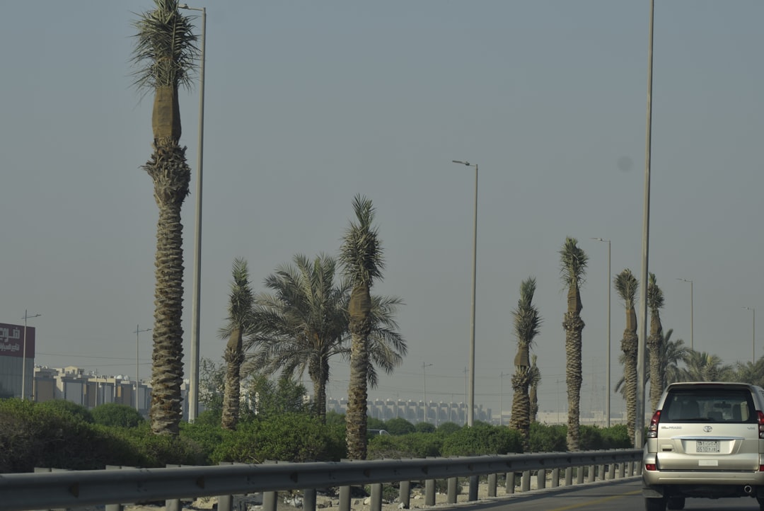 Basra, Iraq (Image Credits: Unsplash)