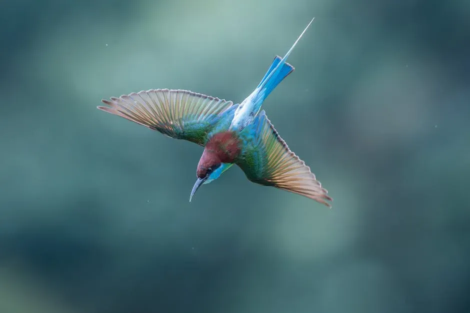 They Perform Theatrical Dive-Bomb Displays You Probably Mistake for Aggression (Image Credits: Pexels)