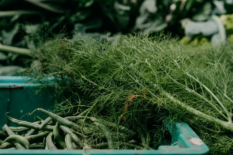 4. Add Host Plants the Caterpillars Actually Eat (Image Credits: Pexels)