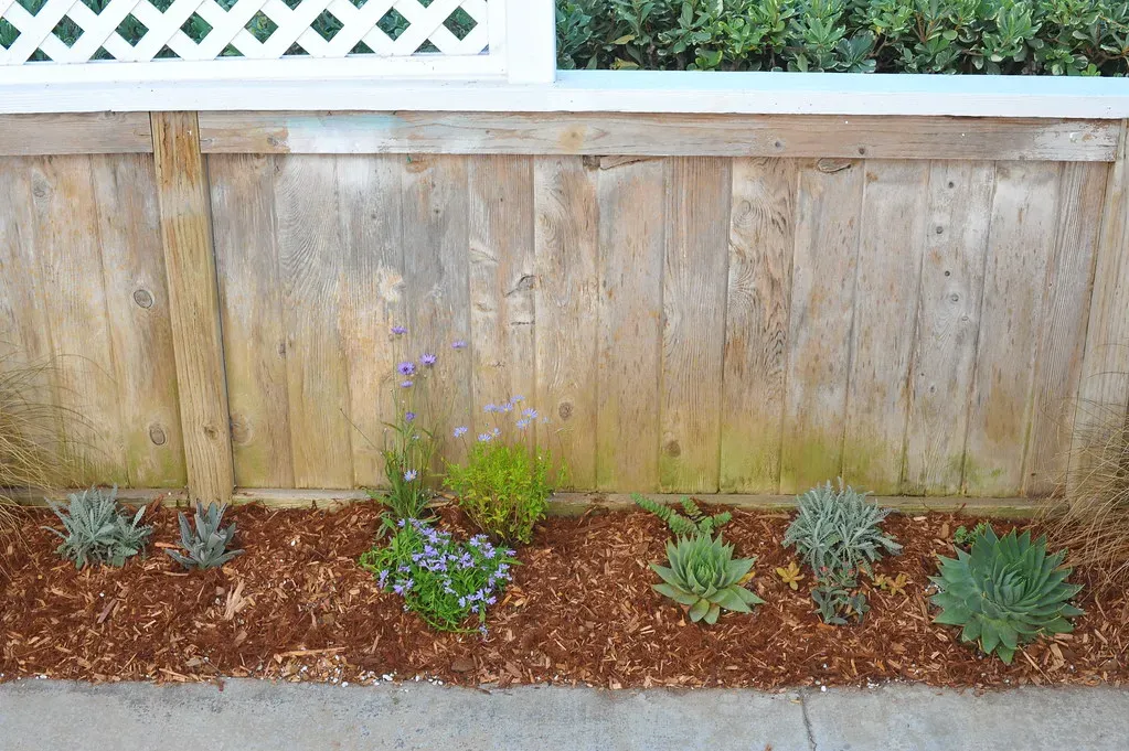 Create Physical Barriers That Ticks Won't Cross (Image Credits: Flickr)