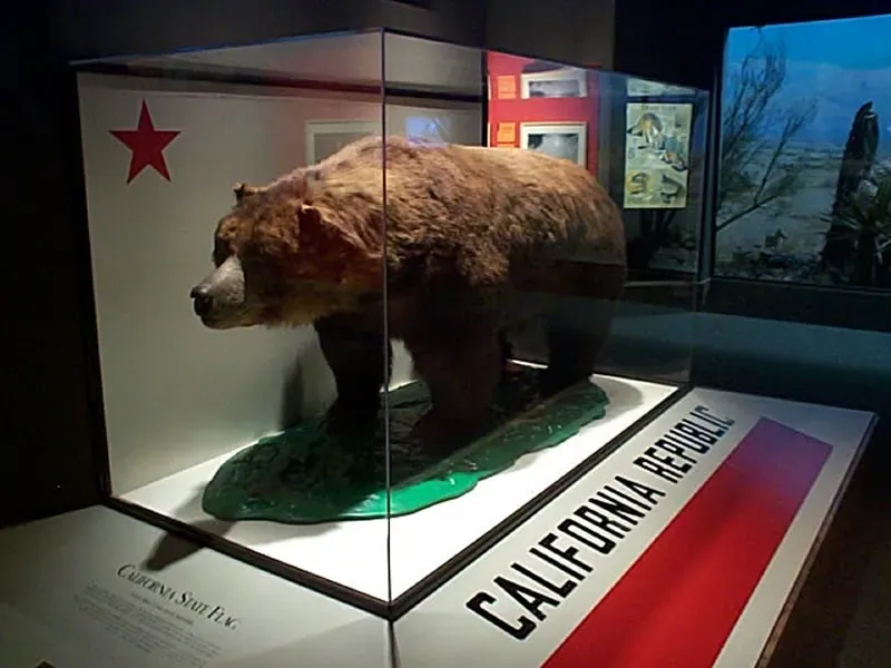 A Unique Status Among State Animals (Image Credits: Wikimedia)