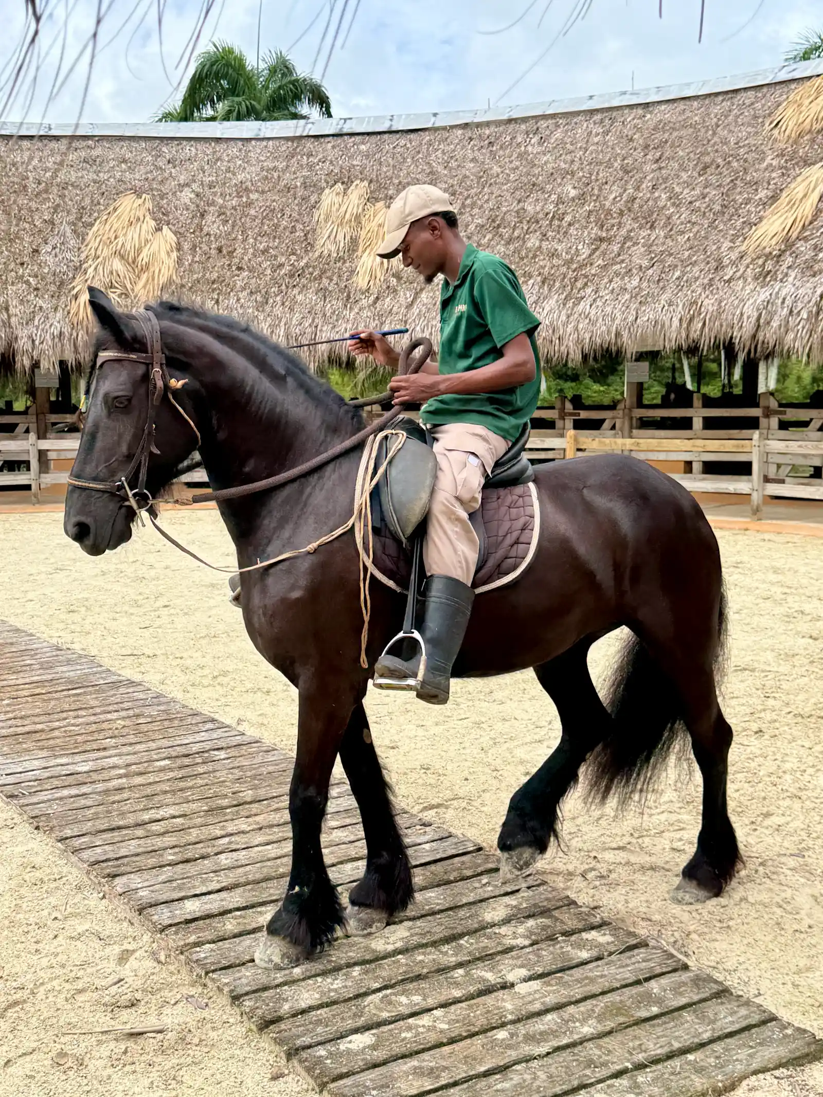 #5 - Friesian (By Oleg Yunakov, CC BY-SA 4.0)
