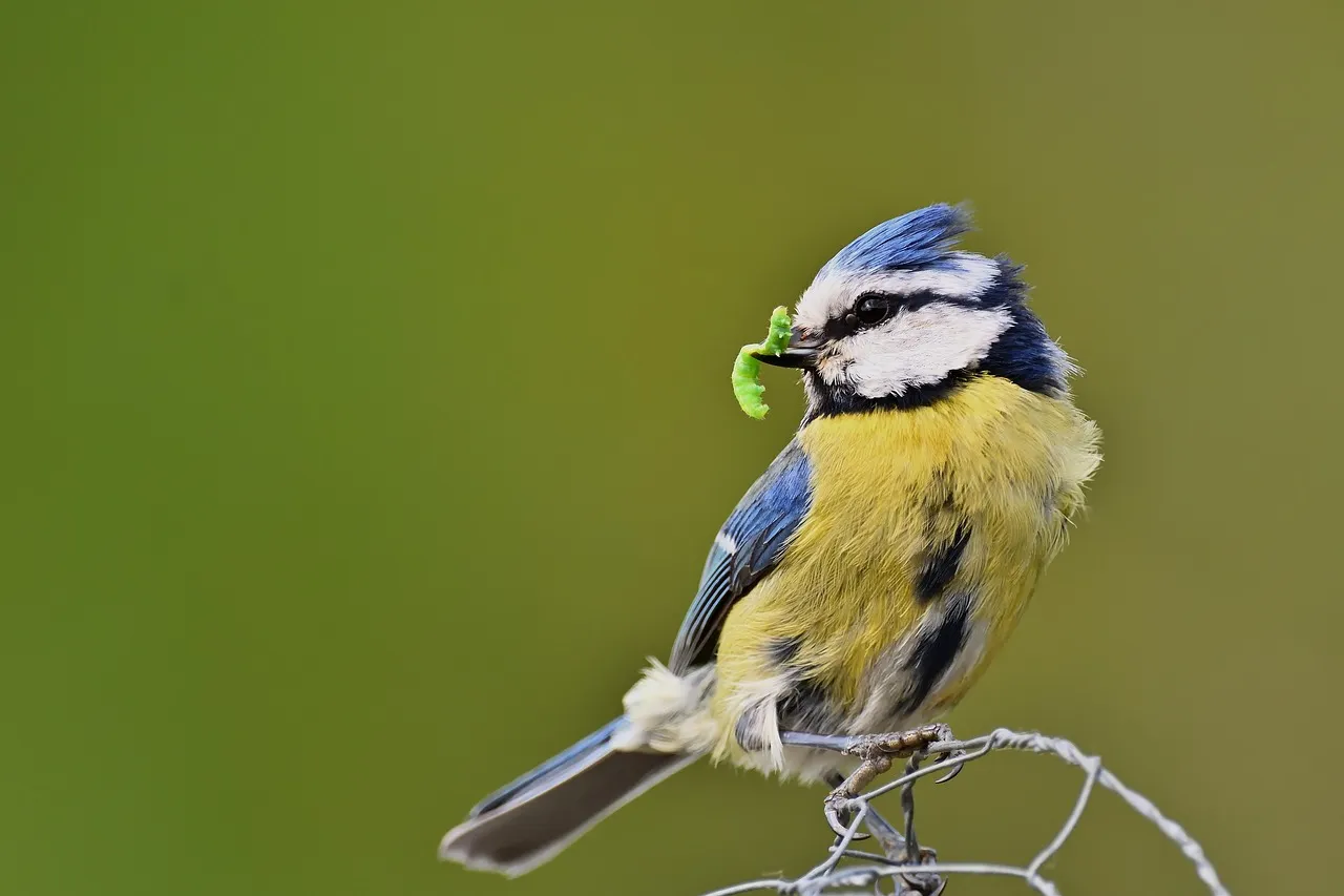 #12 - Eating While You're Still Actively Gardening (Image Credits: Pixabay)