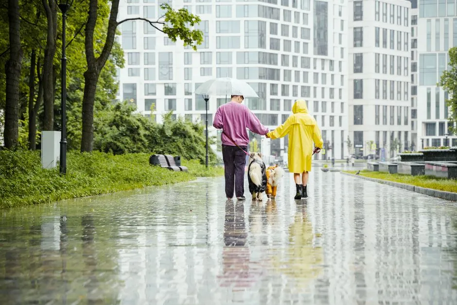 #12 - The Rainy Walk You Cut Short (Image Credits: Pexels)