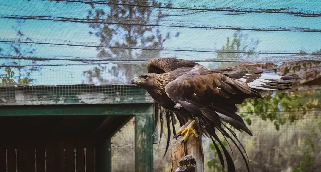 3. Golden Eagle: Speed, Power, and Crushing Grip (Image Credits: Unsplash)