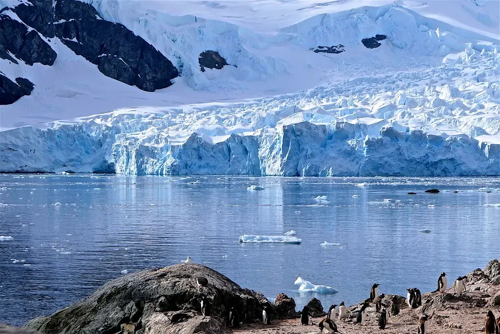 Antarctica's Frozen Majesty (Image Credits: Flickr)
