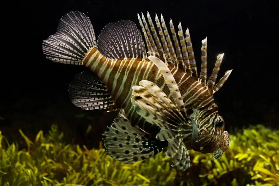 6. The Lionfish: The Beautiful Invader Taking Over Atlantic Waters (Image Credits: Pexels)