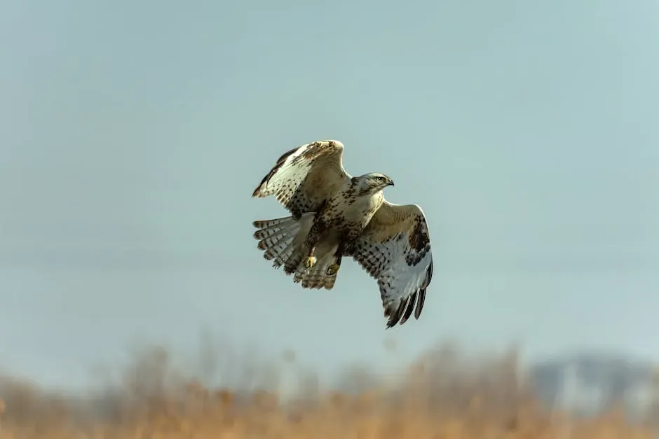 A Nightmare for Prey: Hunting Tactics That Are Pure Genius (Image Credits: Pexels)