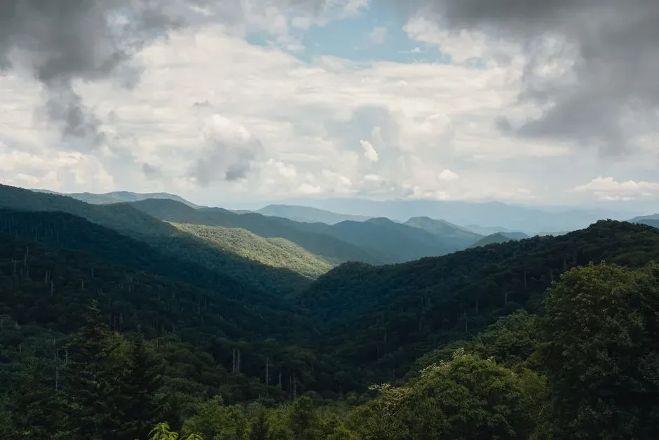 The Birth of the Appalachian Giants (Image Credits: Pexels)