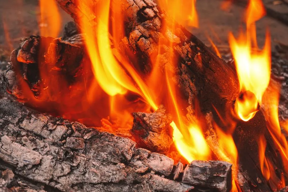 Fire's Role in Protection and Tool Use (Image Credits: Pexels)