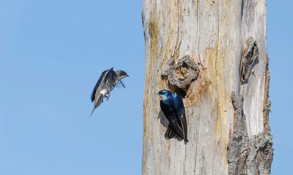 #6. They're Building a Nest Inside Your Walls (Image Credits: Pexels)