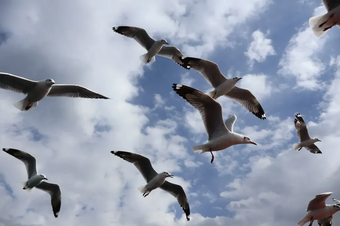 How Birds Navigate Across Thousands of Miles (Image Credits: Unsplash)