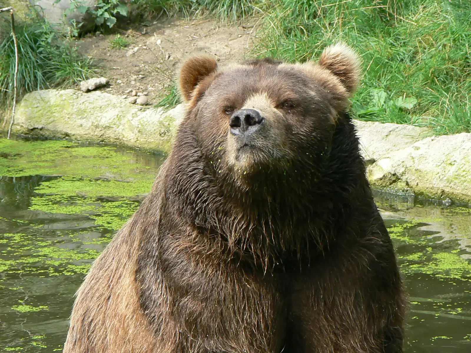 Boulder, Colorado &ndash; Rethinking Wildlife Management (Image Credits: Wikimedia)