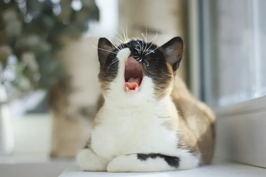 The Chirp or Chatter: Hunter's Excitement (Image Credits: Unsplash)