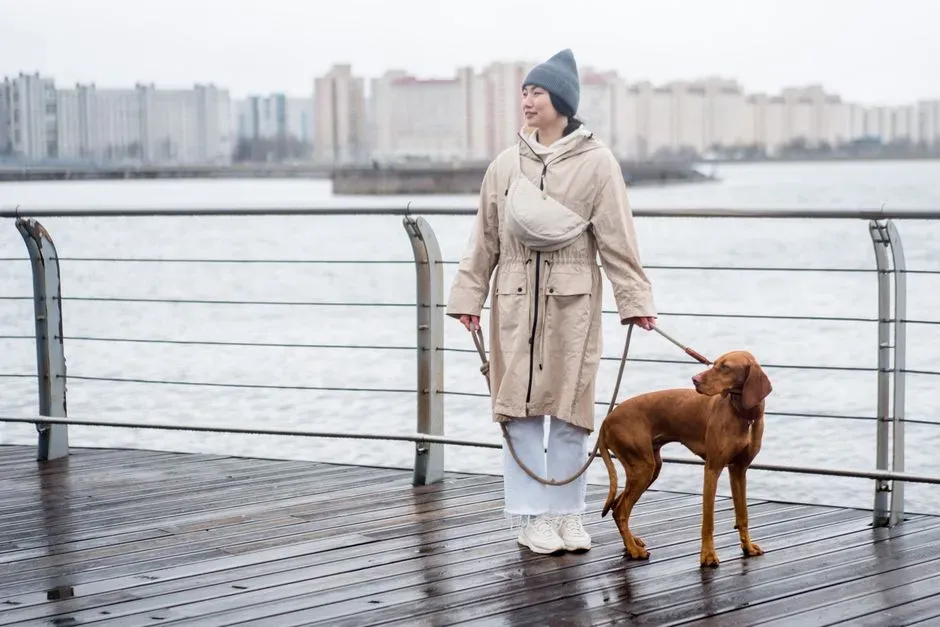 Vizsla (Image Credits: Pexels)