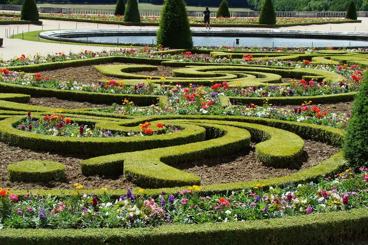 #16 - Yews: The "Boring Evergreen" That Quietly Solves Everything (Image Credits: Pixabay)