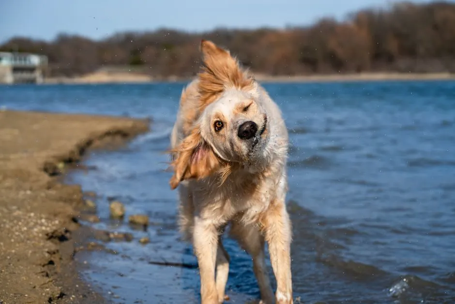 #28 - Regular Stretching and "Happy Shake-Offs" (Image Credits: Pexels)