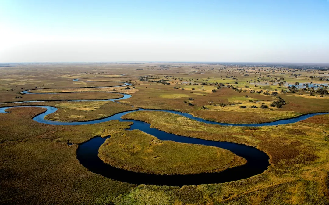 Okavango Delta, Botswana (Image Credits: Unsplash)