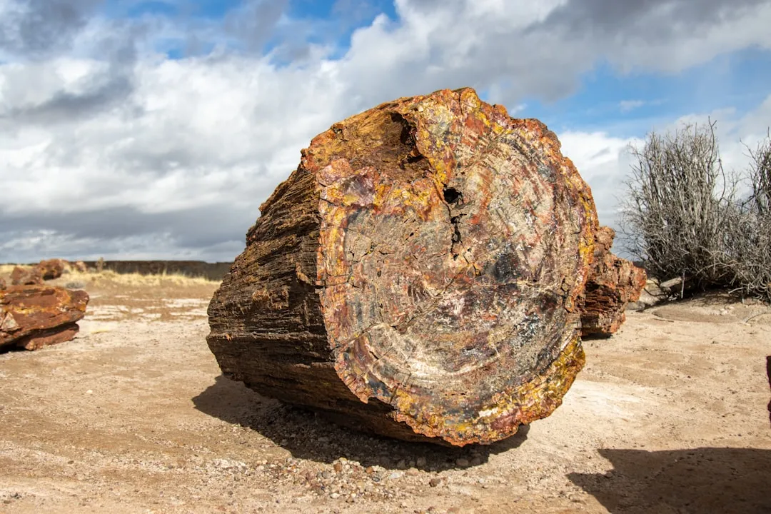 3. The &ldquo;stone&rdquo; is mostly quartz, colored by trace minerals (Image Credits: Unsplash)