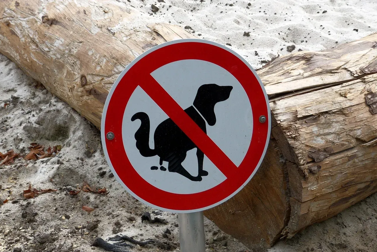 #22 - Ignoring Dog Waste on Sidewalks (Image Credits: Pixabay)