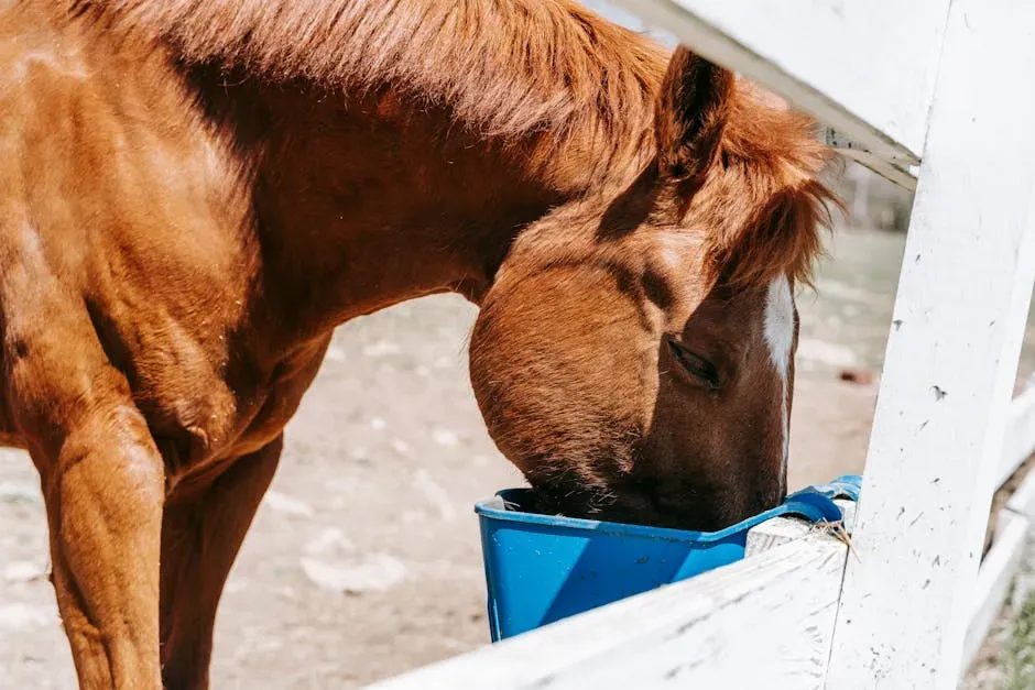 #11 - Overloading on Unnecessary Supplements (Image Credits: Pexels)