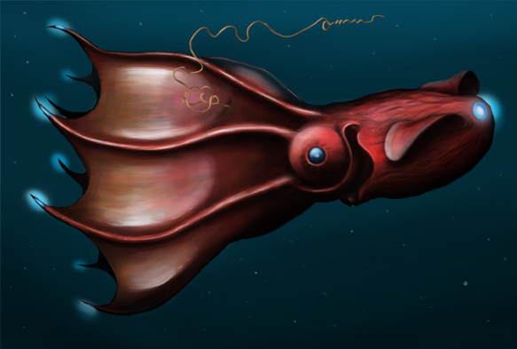 Vampire Squid - The Devil's Own Pet (Image Credits: Wikimedia)