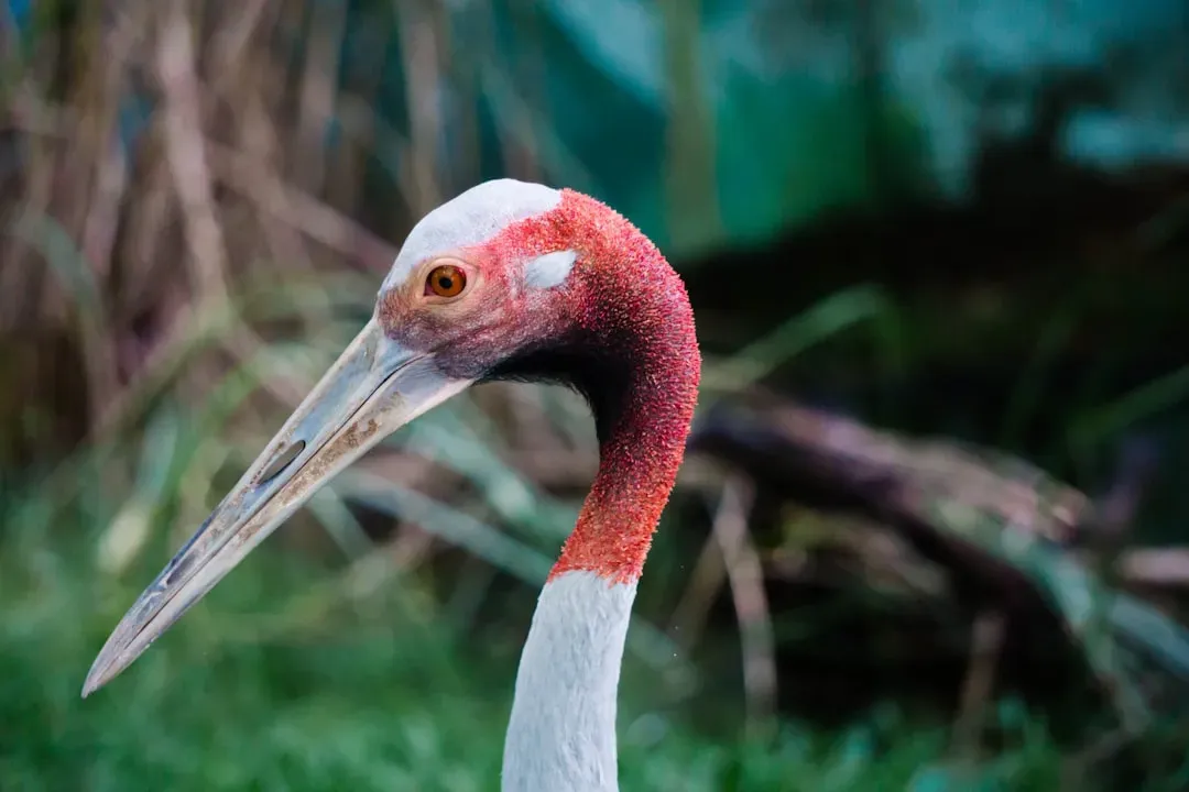 A Final Word: Nature Is Resilient, But It Needs Us (Image Credits: Unsplash)