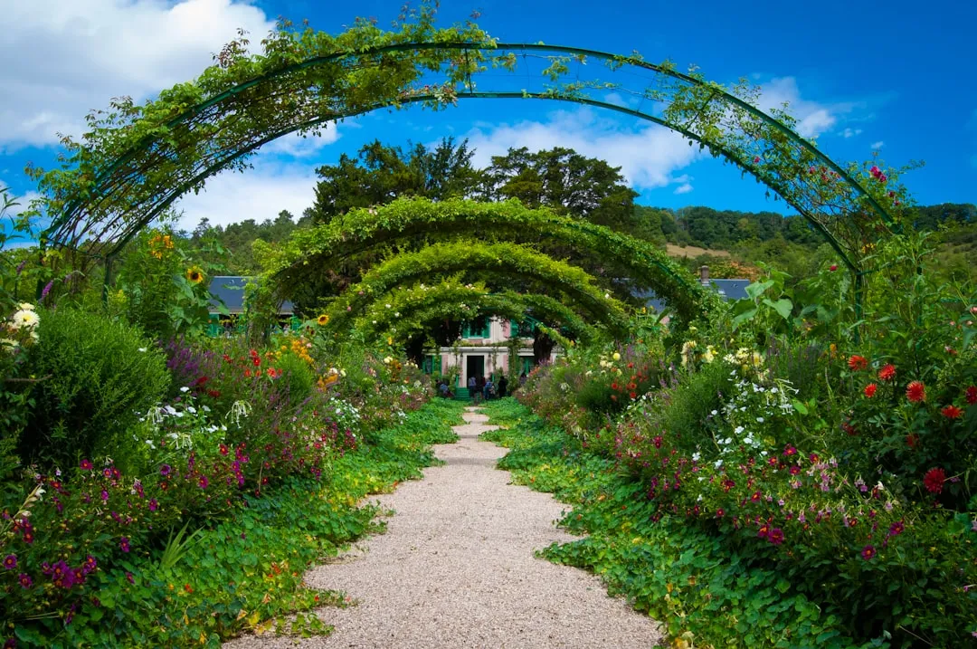 3. Shrinking the Garden to Match Real Life, Not Ambition (Image Credits: Unsplash)