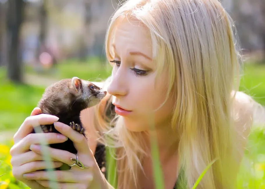 #13 - The Ferret's One-Person Obsession (Image Credits: Pexels)