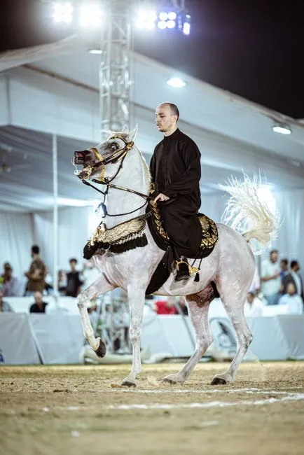 #2 - Arabian (Image Credits: Pexels)