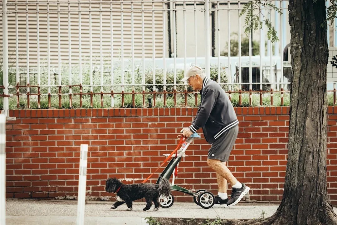 Pets May Keep Your Brain Sharper as You Age (Image Credits: Unsplash)