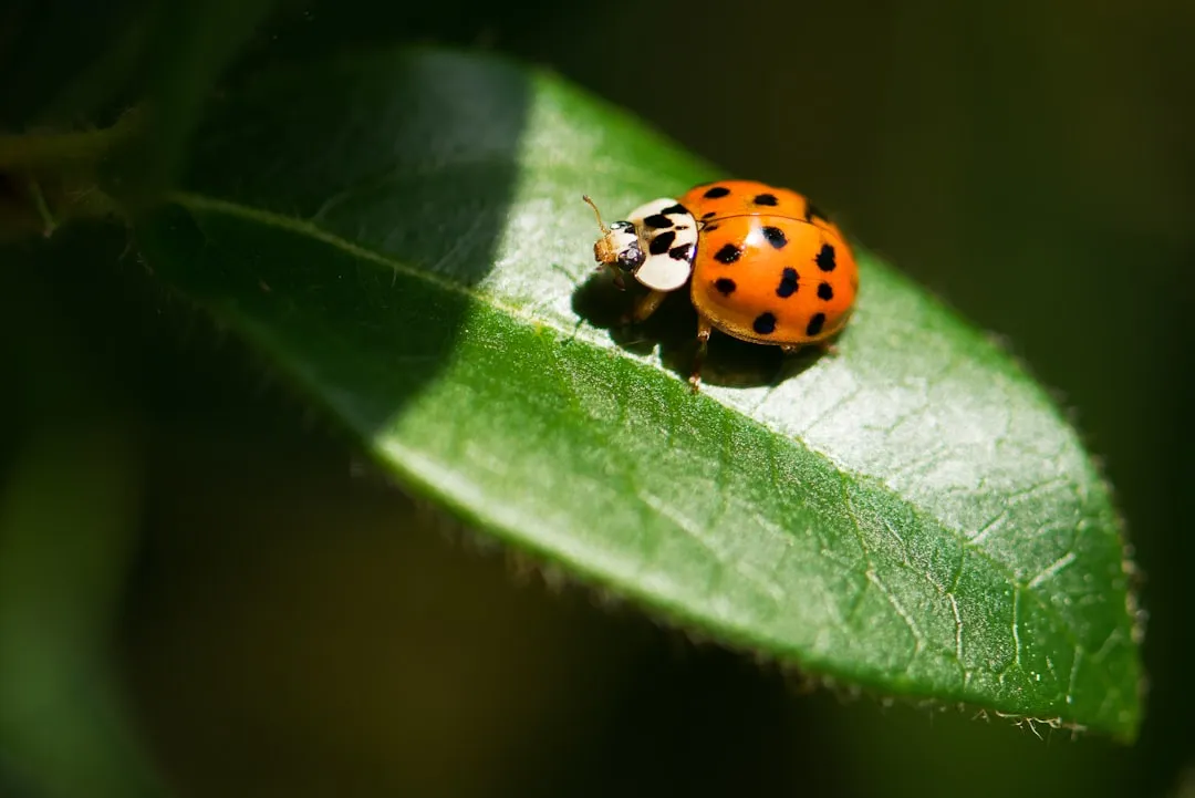 6. The Pesticide Mistake That Quietly Empties a Garden (Image Credits: Unsplash)