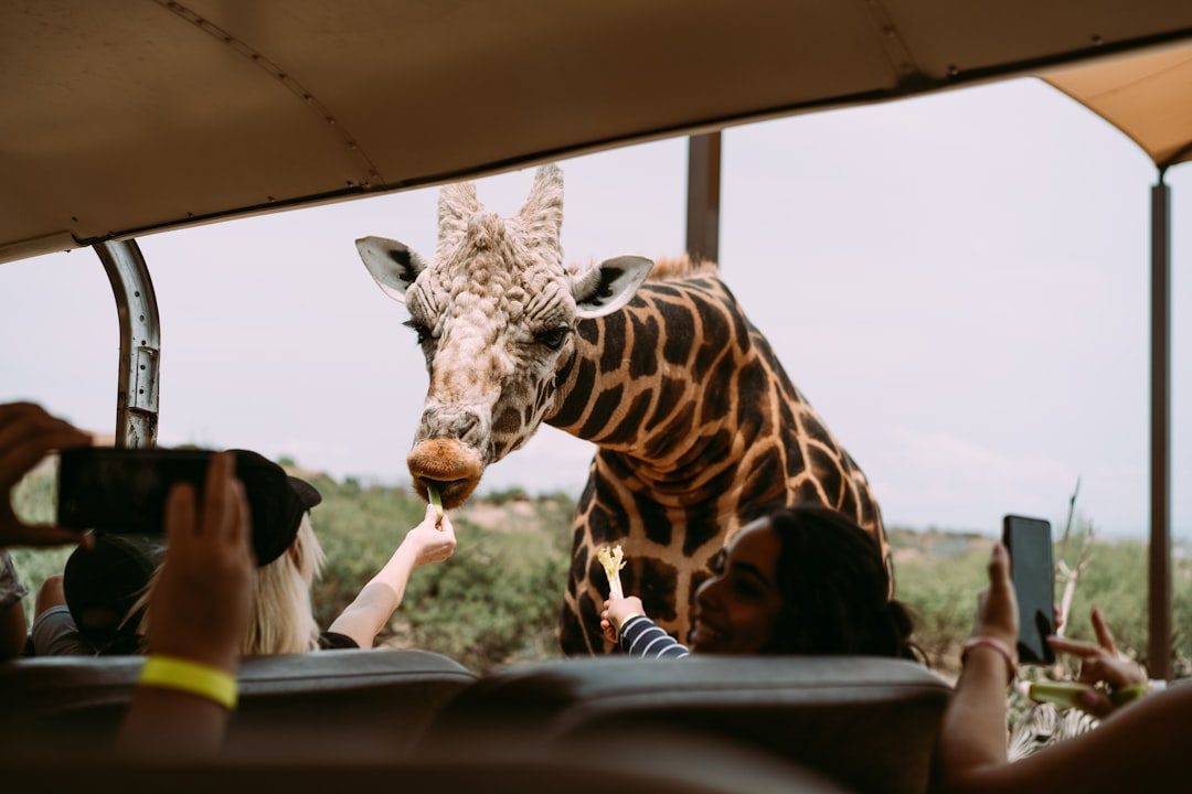 Work with Your Guide and Environment (Image Credits: Unsplash)