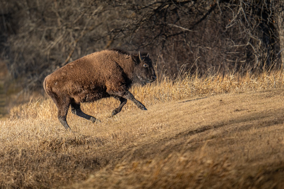 When You're Caught on the Trail (Image Credits: Unsplash)