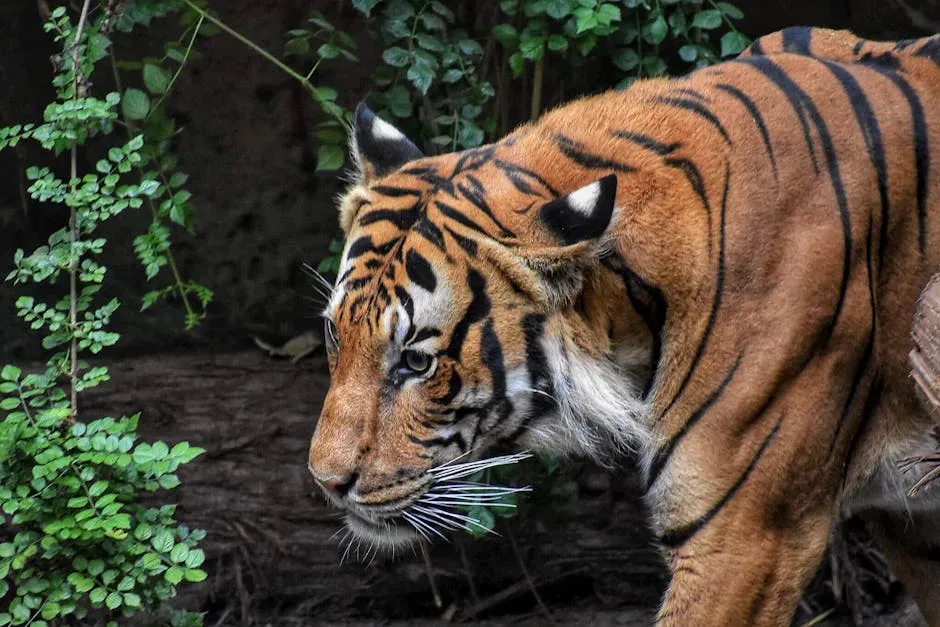 A Voice Like No Other: The Remarkable Vocal Range of Tigers (Image Credits: Pexels)