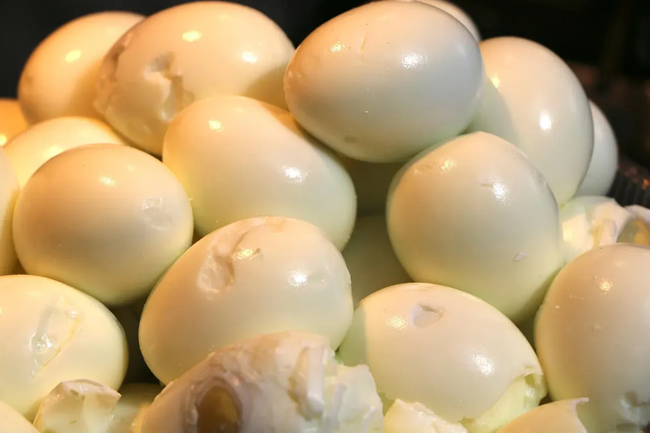 Eggs for High Quality Protein (Image Credits: Pixabay)
