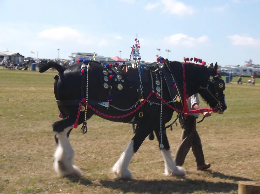#7 - Shire: Bigger Than Clydesdales, Harder to Treat (oatsy40, Flickr, CC BY 2.0)