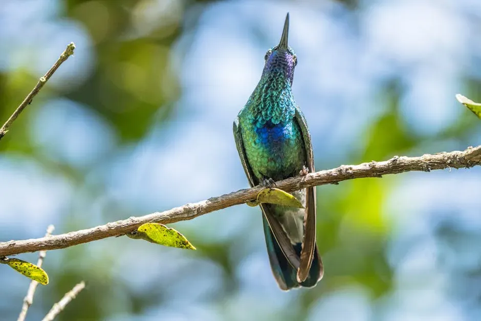 #8: They Can See Colors Humans Cannot (Image Credits: Pexels)