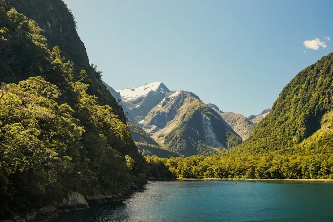Milford Sound, New Zealand (Image Credits: Unsplash)