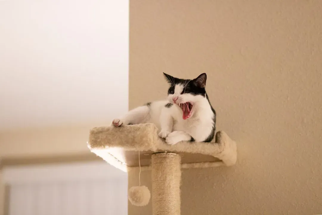 7. Trilling and Chirping: The Special Sounds Reserved Just for You (Image Credits: Unsplash)